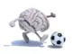 Préparation Mentale Comment se préparer mentalement avant un match de foot 100 conseils